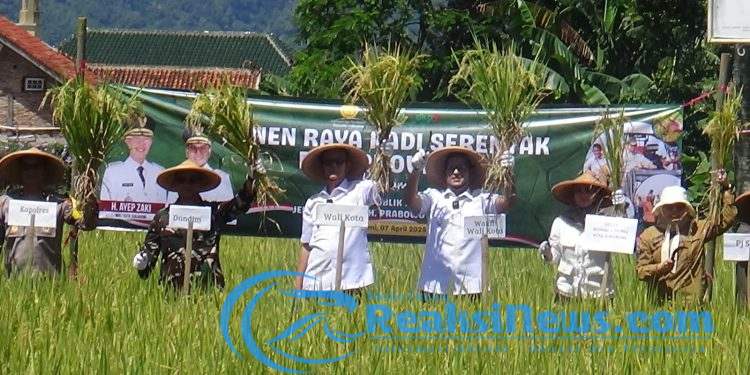 Dandim 0607/Kota Sukabumi Bersama Forkopimda Gelar Panen Raya dan Zoom Meeting Serentak Bersama Presiden Prabowo Subianto
