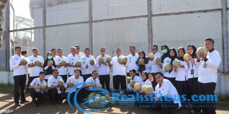 Kembali Buktikan Komitmen Ketahanan Pangan, Lapas Warungkiara Panen 500 Kg Buah Melon