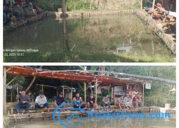 Kolam Pemancingan Mang Akek Menjadi Pilihan Tepat Untuk Menghabiskan Waktu Luang