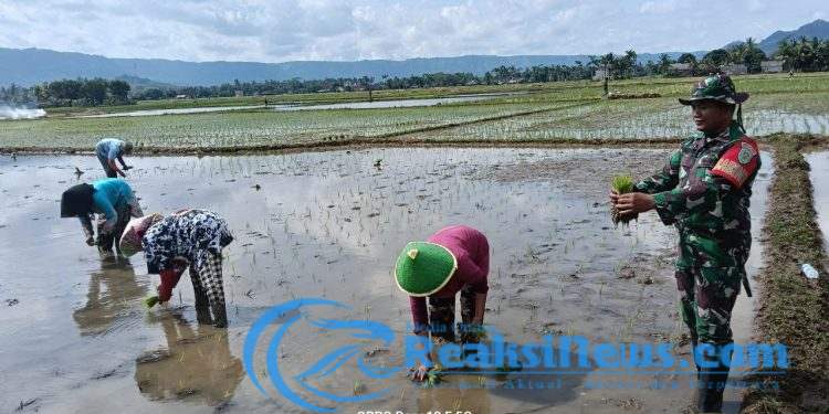 Babinsa Koramil 2203/Warungkiara Kopda Kusdiarto Dampingi Hanpangan di Bojongkerta