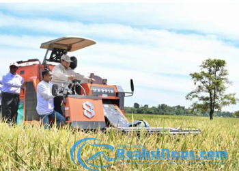 Panen Raya Serentak di 14 Provinsi, Presiden Prabowo Tegaskan Komitmen Wujudkan Kedaulatan Pangan
