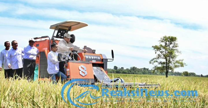 Panen Raya Serentak di 14 Provinsi, Presiden Prabowo Tegaskan Komitmen Wujudkan Kedaulatan Pangan