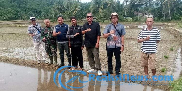 Serka Agus Subandar Dampingi Kementrian Pertanian Di Desa Boyongsari