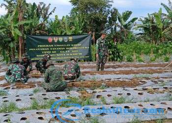 TMMD ke-124 Kodim 0607/Kota Sukabumi Gelar Program Ketahanan Pangan