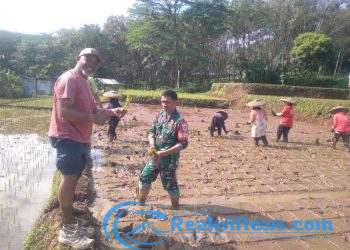 Upaya Mendukung Hanpangan, Babinsa Serka Slamet Koramil 2203/Warungkiara Monitoring Poktan Desa Tarisi