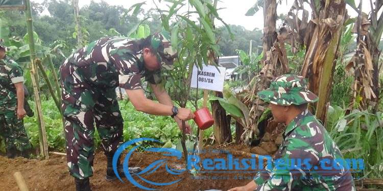 Waaster Panglima TNI Lakukan Penanaman Pohon di Lokasi TMMD ke-124 Kodim 0607/Kota Sukabumi