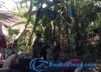 Tanamkan Jiwa Gotong Royong, Babinsa Damarraja Serka Suparno Koramil 2203/Warungkiara Kerjabakti Bareng Warga