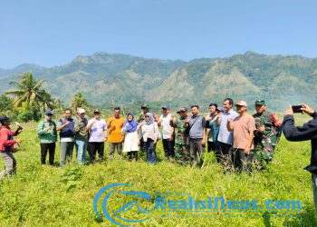 Danpos Bantargadung Koramil 2203/Warungkiara Dampingi Dirjen Kementan RI Di Desa Kertamukti