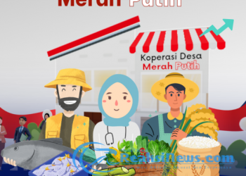 Begini Tata Caranya, Pembentukan Koperasi Desa Merah Putih