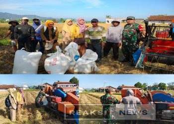 Kodim 0607/Kota Sukabumi Dampingi Penyerapan Gabah Petani di Kp. Lemburpasir