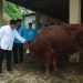 Polres Sukabumi Laksanakan Idul Adha 1446 H, Kurban Bukan Sekadar Menyembelih, Tapi Juga Menundukkan Ego