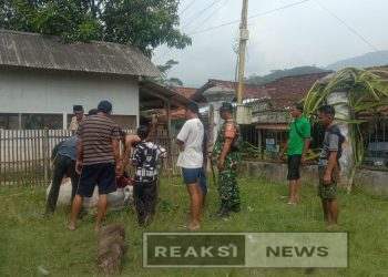 Babinsa Damarraja Sertu Suparno Koramil 2203/Warungkiara Lakukan Pengamanan Pemotongan Hewan Qurban