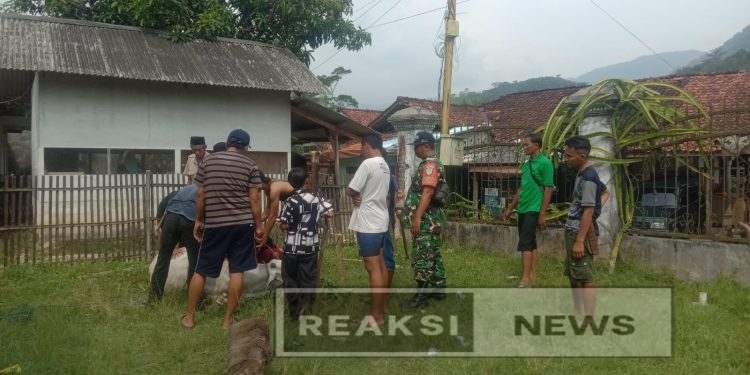 Babinsa Damarraja Sertu Suparno Koramil 2203/Warungkiara Lakukan Pengamanan Pemotongan Hewan Qurban