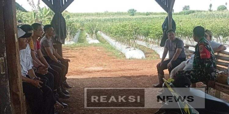 Danramil 2203/Warungkiara Komsos Bareng Kapolsek Guna Membangun Silaturahmi Dengan Baik