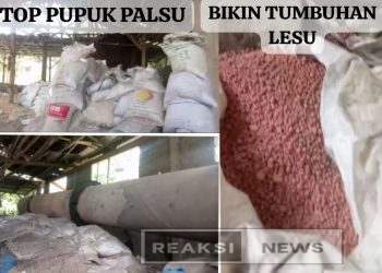 APH dan Pemerintah Harus Turun Tangan Dugaan Peredaran Pupuk Palsu, LSM RIB Ancam Lapor ke Menteri Pertanian