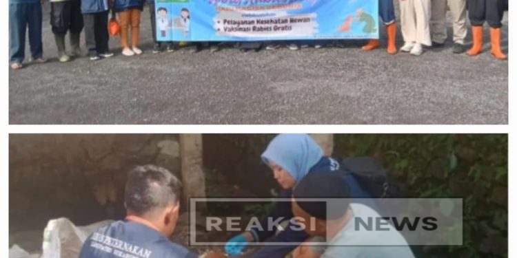 Dinas Peternakan Kabupaten Sukabumi Gelar Vaksinasi Gratis Untuk Lingkungan Yang Bebas Dari Penyakit Rabies