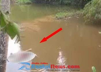 Geger! Mayat Wanita Ditemukan Mengambang di Baros, Desa Sagaranten, Cek Faktanya