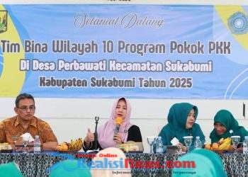 Bina Wilayah, Ketua TP PKK Kab Sukabumi, Minta 10 Program PKK Berdampak Nyata