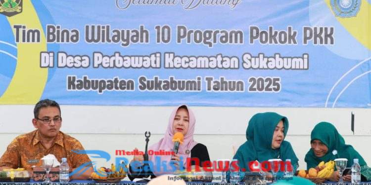 Bina Wilayah, Ketua TP PKK Kab Sukabumi, Minta 10 Program PKK Berdampak Nyata