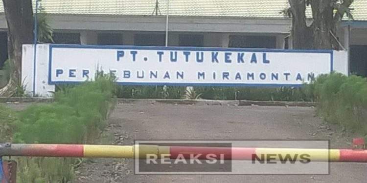 PT TUTU KEKAL Diduga Kebal Hukum, UPTD Pengawasan Wil 1 Bogor Tumpul⁉️ Kemenakertrans RI Wajib Turun Kelapangan
