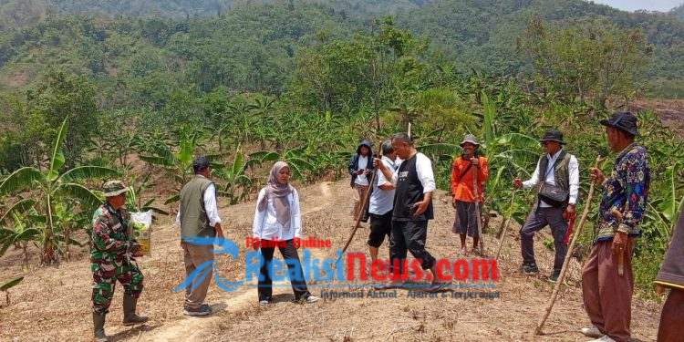 Babinsa Koramil 2203/Warungkiara Sertu Nasrul Dampingi Petani Tanam Padi Gogo di Desa Bantarkalong