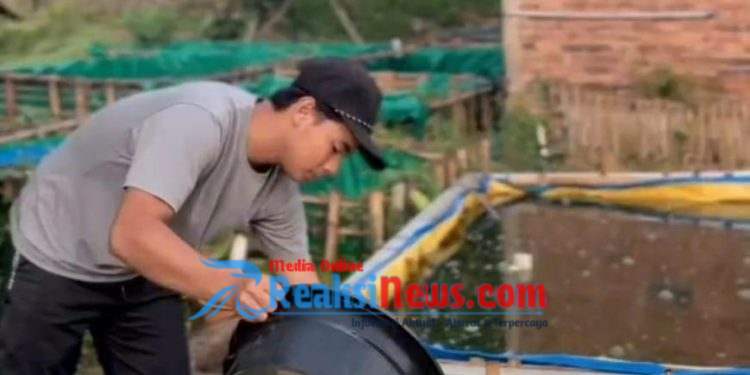 Pembudidaya Lele Milenial Raup Cuan Jutaan dari Larva hingga Konsumsi