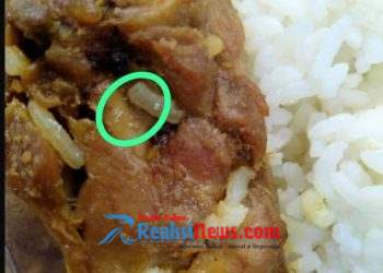 ‎Wow.! Penerima Manfaat MBG Dikejutkan Ada Belatung di Menu Ayam Goreng, Cek Faktanya