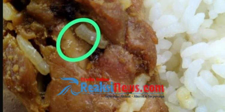 ‎Wow.! Penerima Manfaat MBG Dikejutkan Ada Belatung di Menu Ayam Goreng, Cek Faktanya