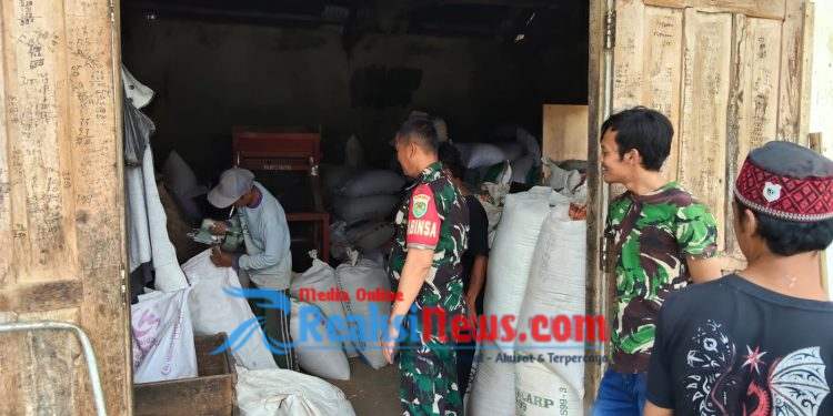 Serka Dodi Koramil 2203/Warungkiara Laksanakan Pemantauan Ketersediaan Pangan di Desa Mangunjaya, Dukung Program Ketahanan Pangan Nasional