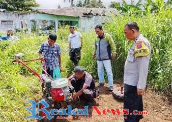 Dukung Ketahanan Pangan Nasional, Polsek Baros Garap 1 Hektar Jagung Pipil