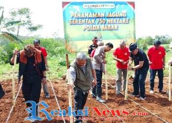 Gerak Serentak Hijaukan Negeri, Polsek Warungkiara Dukung Penanaman Jagung 750 Hektar Polda Jabar