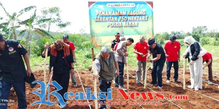 Gerak Serentak Hijaukan Negeri, Polsek Warungkiara Dukung Penanaman Jagung 750 Hektar Polda Jabar