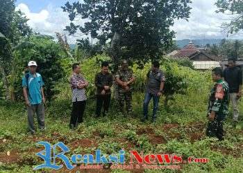 Koda Kusdiarto Babinsa Bojongkerta Koramil 2203/Warungkiara Dampingi Kadis Koperasi Tinjau Lahan Koperasi Desa Merah Putih di PTPN