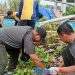 Jajaran Koramil 2203/Warungkiara Turun Tangan Bersihkan Pantai Palabuhanratu Bersama Forkopimda