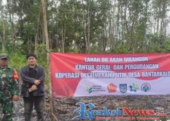 Babinsa Bantarkalong Turun Langsung, Sertu H. Agus Ramdani Koramil 2203/Warungkiara Tinjau Lahan Koperasi Desa Merah Putih
