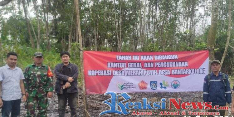 Babinsa Bantarkalong Turun Langsung, Sertu H. Agus Ramdani Koramil 2203/Warungkiara Tinjau Lahan Koperasi Desa Merah Putih