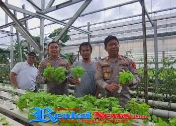 Greenhouse Hidroponik di Loji Simpenan Suplai Sayuran untuk Program MBG Polres Sukabumi