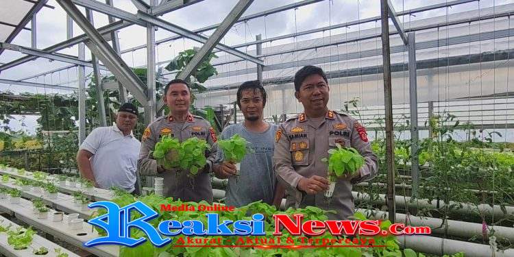 Greenhouse Hidroponik di Loji Simpenan Suplai Sayuran untuk Program MBG Polres Sukabumi