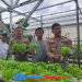 Greenhouse Hidroponik di Loji Simpenan Suplai Sayuran untuk Program MBG Polres Sukabumi