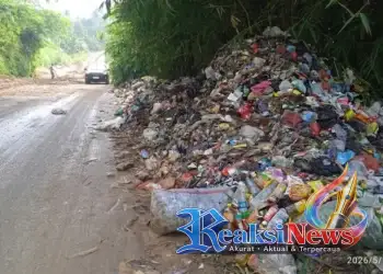 TERCIUM AROMA BAU BUSUK: Akibat Pembiaran Sampah Menumpuk, DLH Harus Tegas Perusahaan Abai Bisa Dipidana KUHP Baru!