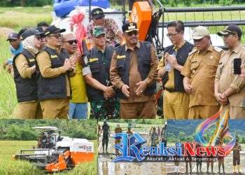 Gerakan Panen Padi, Bupati Tegaskan Kecamatan Ciemas Salah Satu Penopang Swasembada Pangan di Sukabumi