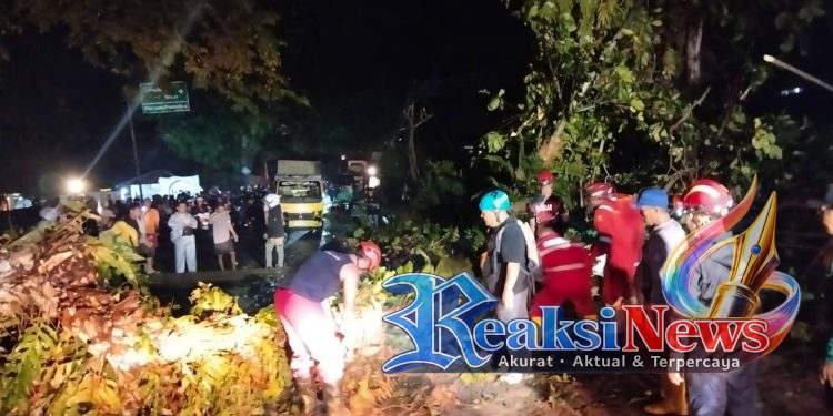 Pemkab Sukabumi Gerak Cepat Tangani Pohon Tumbang di Jalur Nasional Palabuhanratu–Banten