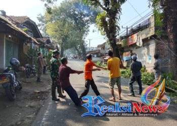 Sertu Iyan Koramil 2203/Warungkiara Monitoring Langsung Mitigasi Pohon Mahoni Tua di Bojonggaling