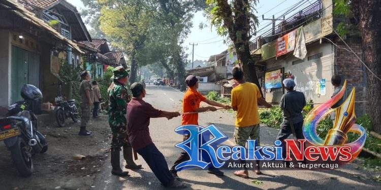 Sertu Iyan Koramil 2203/Warungkiara Monitoring Langsung Mitigasi Pohon Mahoni Tua di Bojonggaling