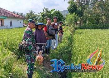 Babinsa Turun Tangan! Serka Didik Susanto Koramil 2203/Warungkiara Dampingi Petani, Perkuat Ketahanan Pangan di Bantargadung