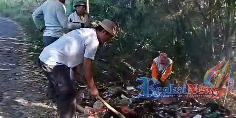 Respons Cepat Kepala Desa Tanjung, Tumpukan Sampah Berhasil Dibersihkan Lewat Gotong Royong, Camat Jampangkulon Tinjau Langsung Lokasi